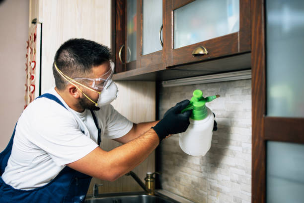 Pest Control for Restaurants in Dexter, MO