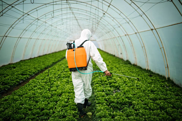 Best Pest Control Cost  in Dexter, MO