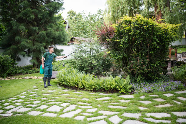 Best Ant Control Services  in Dexter, MO
