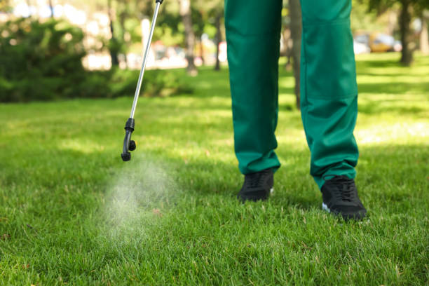 Best Affordable Pest Control Services  in Dexter, MO
