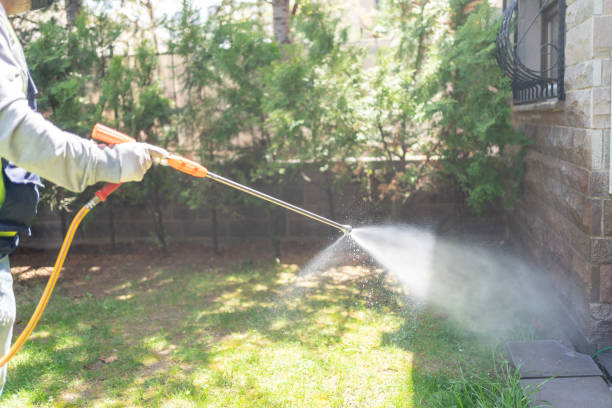 Best Pest Prevention Services  in Dexter, MO