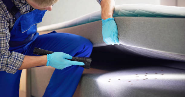 Best Emergency Pest Control  in Dexter, MO