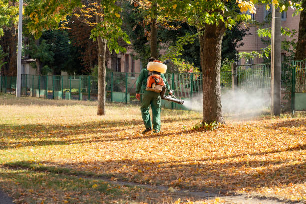 Trusted Dexter, MO Pest Control Experts