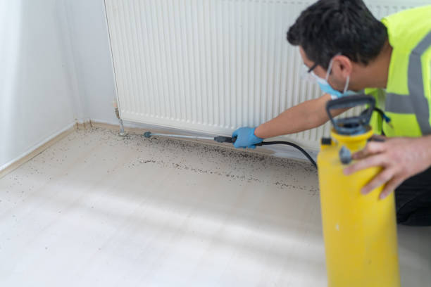 Best Best Pest Control Companies  in Dexter, MO