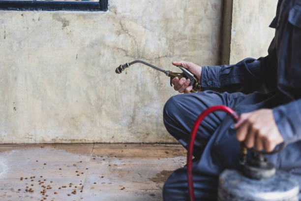 Pest Control Cost in Dexter, MO